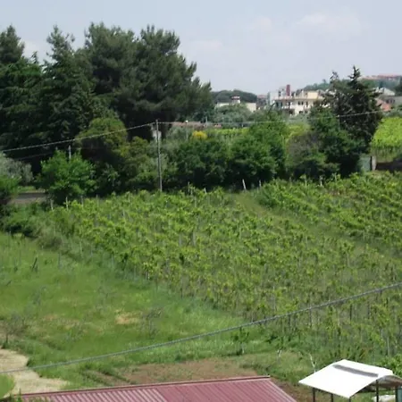 Stranamore Affittacamere Frascati