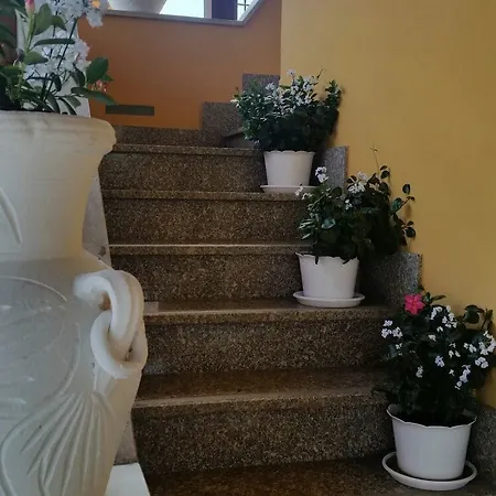 Stranamore 2* Frascati