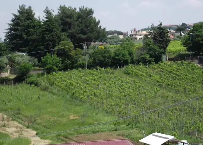 Stranamore Gasthof Frascati